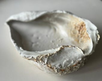 shell dish bowl