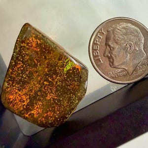 Op de afbeelding: Een gepolijste, onregelmatig gevormde edelsteen met een glinsterend, gespikkeld patroon van oranje en gouden tinten. Een Amerikaanse dime wordt naast de edelsteen geplaatst ter vergelijking van de grootte. De edelsteen heeft een doorschijnende kwaliteit, met hints van groen.