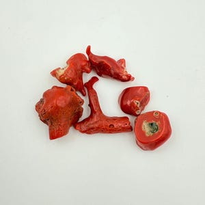May include: A collection of six pieces of natural red coral, each with a unique, organic shape. The coral pieces vary in size and texture, with a vibrant, deep red color. Some pieces have a rough, porous surface, while others are smoother.