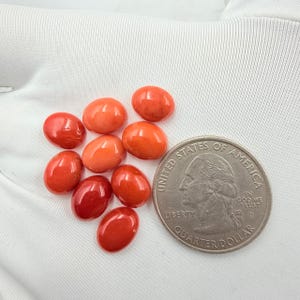 May include: A collection of nine small, smooth, oval-shaped orange-red gemstones arranged in a cluster next to a United States quarter coin for scale. The stones have a polished, glossy finish and are displayed on a white fabric surface.