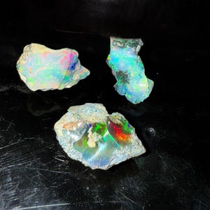 May include: Three raw opal stones with vibrant, iridescent colors. The opals display flashes of blue, green, red, and yellow within a matrix of white and gray. The stones are rough-cut, showcasing their natural, unpolished state.