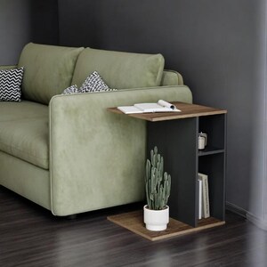 May include: A contemporary side table with a dark brown top and a black storage section. The table features a lower shelf and a built-in shelf for books and decor. A potted cactus is on the lower shelf. The table is positioned next to a green sofa.