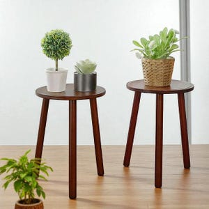 May include: Two small, dark brown wooden side tables with round tops and three angled legs. Each table displays a potted plant: a topiary, a succulent, and a plant in a woven basket. The tables are set against a white background.