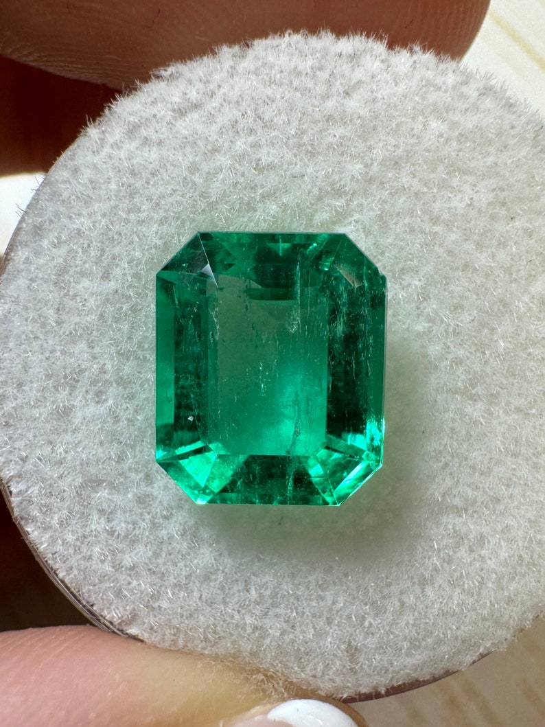 3.61 Carat 10x9 Vivacious Green Natural Loose Colombian Emerald-Emerald Cut, Medium Green Emerald, Genuine Emerald Gem May Birthstone image 1