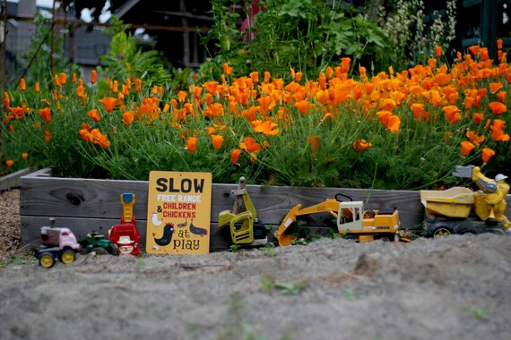 2 SLOW DOWN FREE RANGE CHILDREN /& ANIMALS SIGN 16/" X12/"