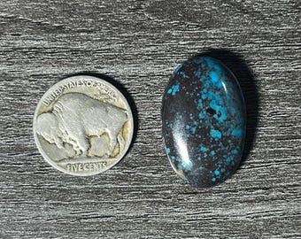 TURQUOISE CAB (hubei)