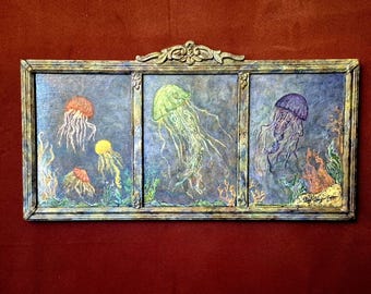 Jellyfish Family