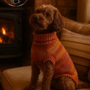 May include: A brown dog wearing a double knit, striped orange and red sweater with a turtleneck collar. The dog is sitting on a beige cushion. The text "Double Knit" and "Small & medium" is visible.