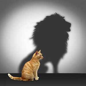 Peut inclure: Un chat tigré orange est assis devant un mur, projetant l'ombre d'un lion. Le chat regarde l'ombre, qui est grande et imposante. L'arrière-plan est un dégradé de gris, créant un contraste saisissant.