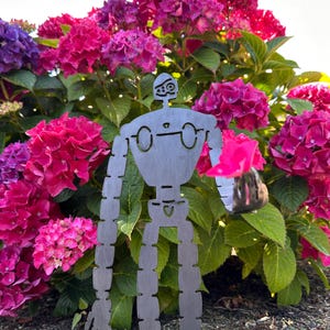 May include: A metal robot garden sculpture stands in front of a vibrant hydrangea bush with pink, purple, and red blooms. The robot has a simple, geometric design with long limbs and a small head, holding a small, round object.