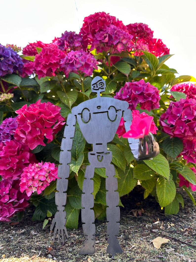 May include: A metal robot garden sculpture stands in front of a vibrant hydrangea bush with pink, purple, and red blooms. The robot has a simple, geometric design with long limbs and a small head, holding a small, round object.