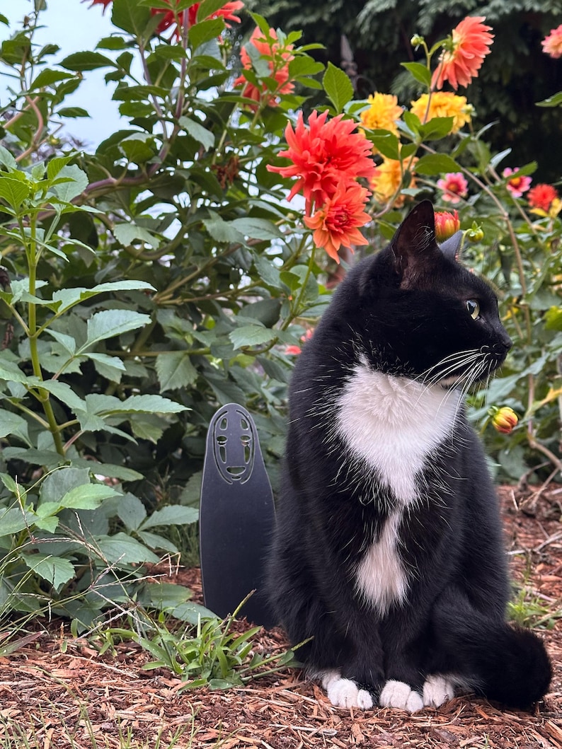 May include: A black and white cat with green eyes sits in front of a vibrant flower bush with orange and yellow blooms. A black, stylized figure stands to the left of the cat. The cat has white markings on its chest and paws.