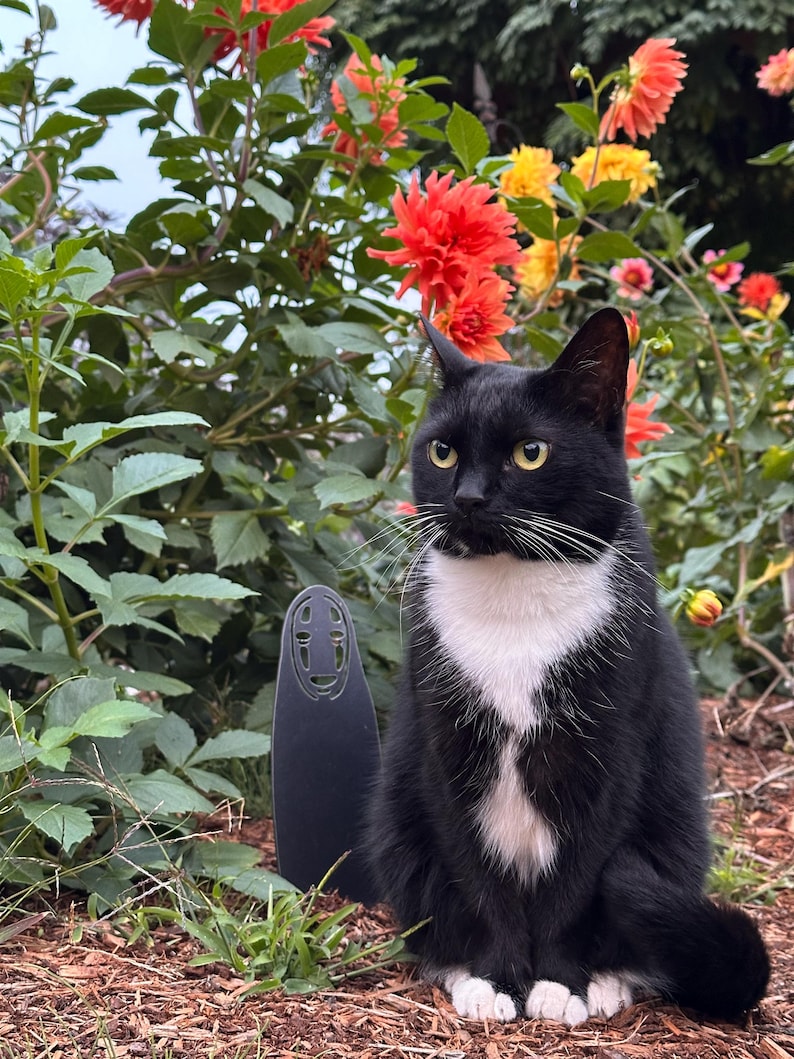 May include: A black and white cat with yellow eyes sits in front of a vibrant flower bush with red, orange, and yellow blooms. A black, stylized, decorative figure stands to the cat's left.