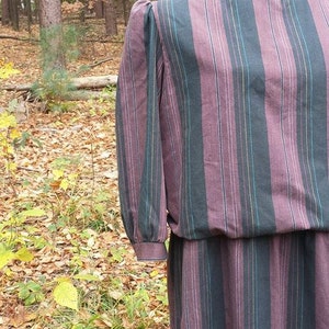 autumn stripe vintage blouson dress image 1