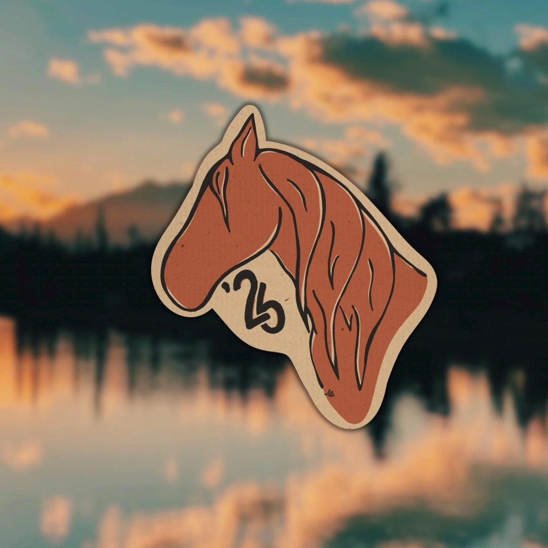 Year of the Horse Sticker | Lunar New Year, Hand Drawn, Waterproof - Etsy