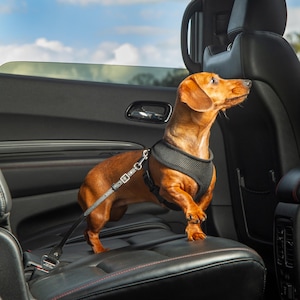 Luxury Leather Dog Seatbelt Tether – Black & White with Silver Hardware – Handmade Travel Gear – Gift for Dog Owners – Calm Car Rides