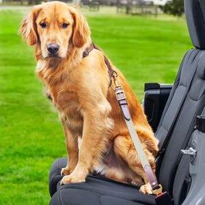 Bison Leather Dog Seatbelt Tether – Handmade Dog Car Restraint – Brown, or Brown + Green Canvas– Brass Finish – S/M or L Horween Bison