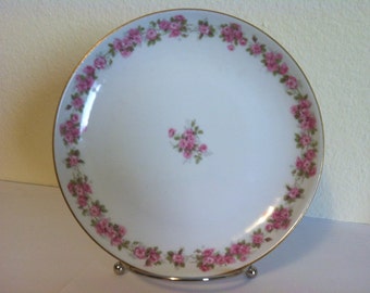 Vintage Haviland, Limoges, Porcelain Plate