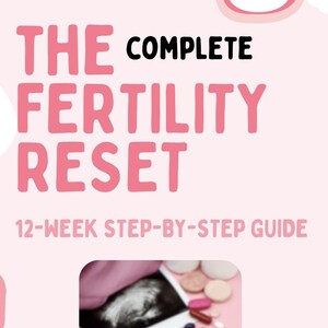 Trying To Conceive Support Bundle Digital Planning Guide Natural Fertility Program Complete Tracking System Instant Download Collection Comprehensive Implementation Steps Hormone Balance Methods Weekly Progress Tools Essential Conception