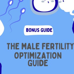 Natural Fertility Support Program Digital Download Bundle Complete Conception Guide Practical Planning Resources Hormone Balance Methods Ovulation Tracking System Weekly Implementation Steps Essential Program Tools Comprehensive Support