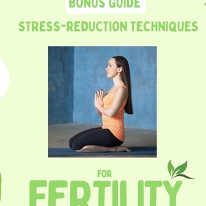 Complete Fertility Program Digital Download Bundle Natural Conception Guide Comprehensive Support Collection Weekly Implementation Steps Hormone Balance Methods Essential Planning Tools Practical Tracking System Daily Program Resources