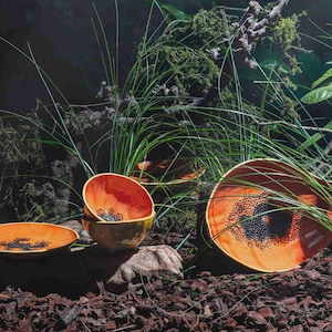 May include: A still life featuring several orange ceramic bowls with black seed details, arranged on a bed of brown mulch and surrounded by green grass and foliage. The bowls have a vibrant, glossy finish.
