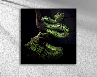 Arte de parede de cobra com réptil da selva em vidro temperado | Arte de animais exóticos | Linda decoração de parede de cobra verde para clínicas veterinárias
