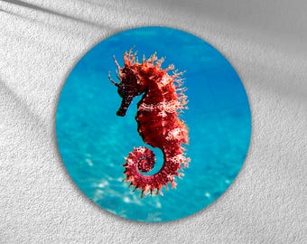Seepferdchen Wandkunst - Unterwasserwelt Meeresleben Glastafel für Küsten- und Ozean-Dekor, ruhiges blaues Wasser | Sea Creature Dekor Tiefer Ozean