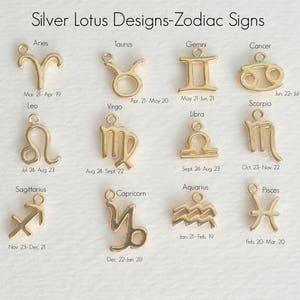 Tiny Zodiac Necklace, Astrological Gold Jewelry, Zodiac Sign, Horoscope Jewelry, Best Friend Necklace, Aries, Leo, Capricorn, Taurus, Virgo image 3