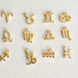 Tiny Zodiac Necklace, Astrological Gold Jewelry, Zodiac Sign, Horoscope Jewelry, Best Friend Necklace, Aries, Leo, Capricorn, Taurus, Virgo image 7