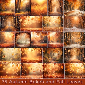 May include: A collage of 16 images featuring autumn scenes with warm, golden tones. The images showcase bokeh effects, falling leaves, and forest paths. The text "75 Autumn Bokeh and Fall Leaves" is at the bottom.