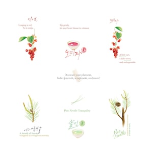 Red Berries & Pine Needle Clipart – Watercolor Botanical PNG Set
