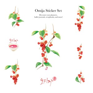 Red Berries Watercolor Clipart – Botanical Fruit PNG Stickers for Crafts