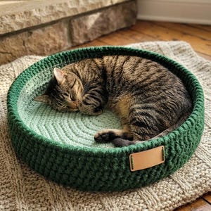 May include: A sleeping tabby cat in a green, crocheted cat bed. The bed has a lighter green interior and a darker green border. The bed sits on a beige, knitted rug. A small basket with yarn is in the background.