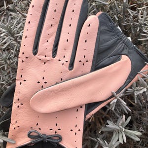 May include: A pair of pink and gray leather gloves with decorative cut-out patterns. The gloves have a bow detail at the wrist and are set against a background of green foliage. The gloves are size 7.