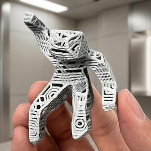 May include: A small, grey, 3D-printed figurine of a person with an arm raised. The figurine has a geometric, open design with intricate patterns. The figure is held in a hand against a neutral background.
