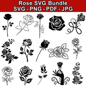 Rose Flower Shirt SVG Bundle, Floral Outline Clipart, Botanical Rose PNG JPG for Cricut & Silhouette, Rose Drawing Tattoo, Rose Illustration