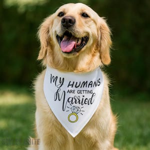 Hochzeit Haustier Bandana Hochzeit Hund Hochzeit Katze Verlobung Hund Individuelle Hundehalstuch Hundehochzeitskleidung Perfektes Geschenk für Verlobte Jungvermählten Geschenkidee