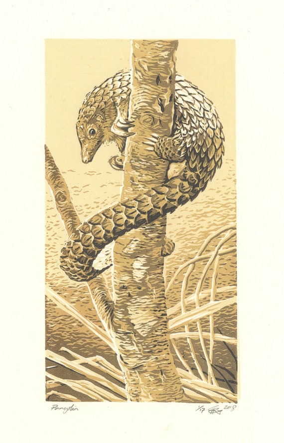 Printable Pangolin Artwork Home Décor Wall Décor etna.com.pe