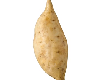 Patata dolce a polpa bianca (venduta in lotti)