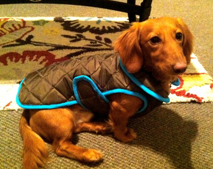 Custom Made Dog Coat Just for Karl Etsy