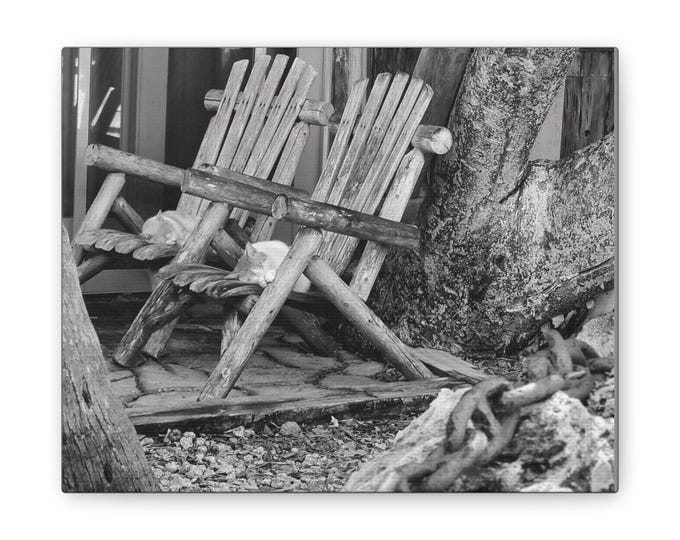 Driftwood Resort Cats Napping on Breezeway Porch