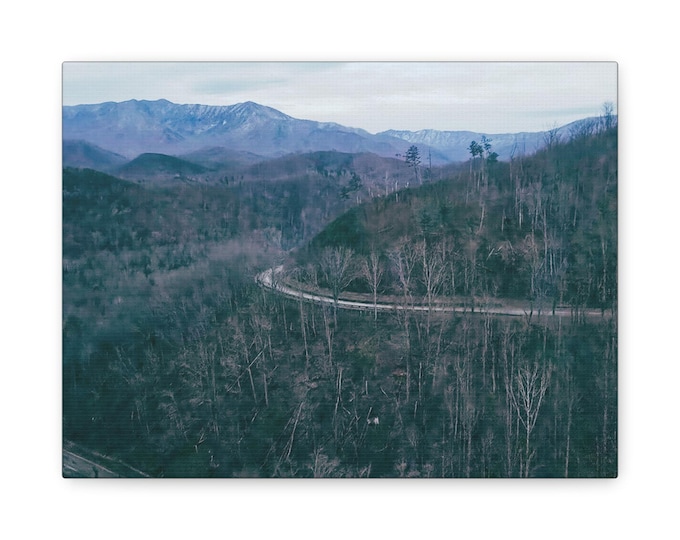 Mountain Road Landscape Matte Canvas