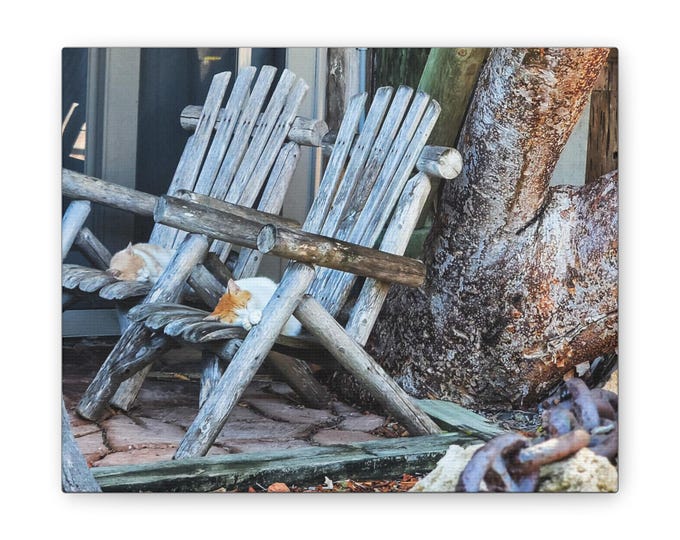Canvas Stretched, Driftwood Resort Cats in Color, Wall Art Decor, Home Decor, Cat Lover Gift, Beach House Decor, Coastal Art
