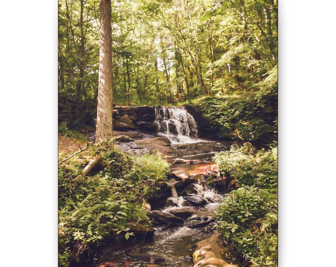 Georgia Mountains Waterfall Canvas | Landscape Wall Art