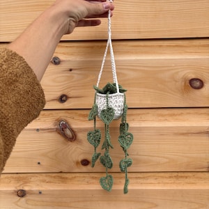 Crochet Hanging Plant