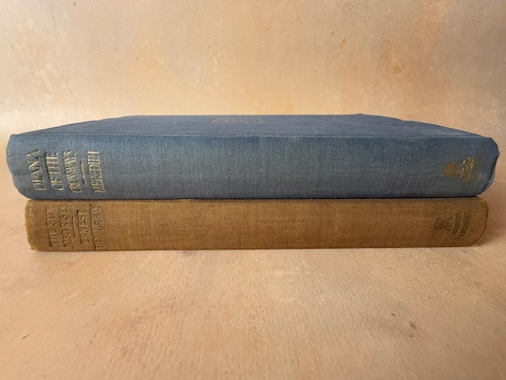 Pair of Vintage Modern Library Classics The Sun Also Rises and Diana of the Crossways