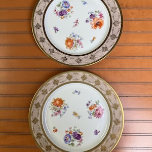 2er-Set Vintage PT Bavaria Tirschenreuth Speiseteller | Gold Spitzenborte & Florales Porzellan | Anfang des 20.Jahrhunderts