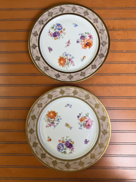 Vintage PT Bavaria Dinner Plates (Set of 2): Gold Lace & Floral Porcelain