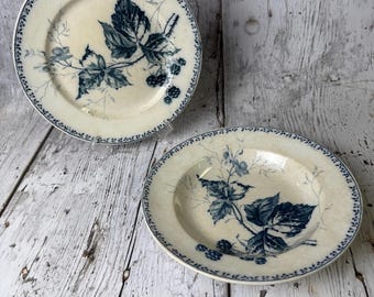 Antique Villeroy & Boch “Rubus” Blackberry Plate and Bowl Set – Late 1800s Mettlach Germany